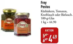 Galeria Markthalle Frey Pestos Angebot