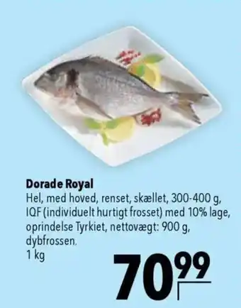 CITTI Markt Dorade Royal Angebot
