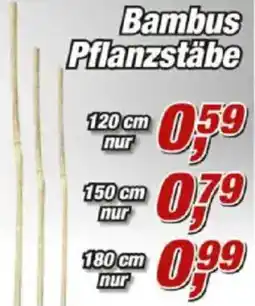 Posten Börse Bambus Pflanzstäbe Angebot