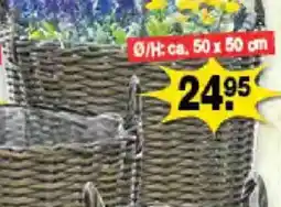 Krümet Sonderposten Pflanzkorb Angebot