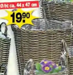 Krümet Sonderposten Pflanzkorb Angebot