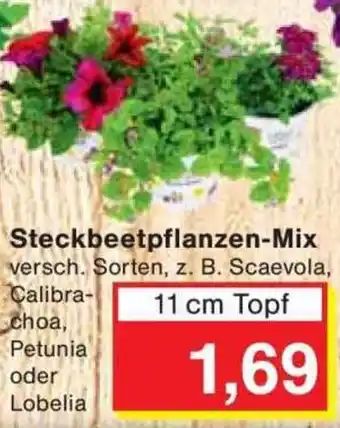 Jawoll Steckbeetpflanzen-Mix Angebot