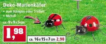 Thomas Philipps Deko Marienkäfer Angebot