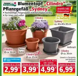 Norma Cilindro Ø ca. 25 cm Angebot