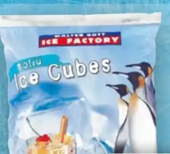 Handelshof Walter Gott Ice Factory Solid Cubes Angebot