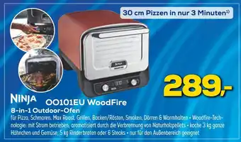 Euronics Ninja oo101eu woodfire Angebot