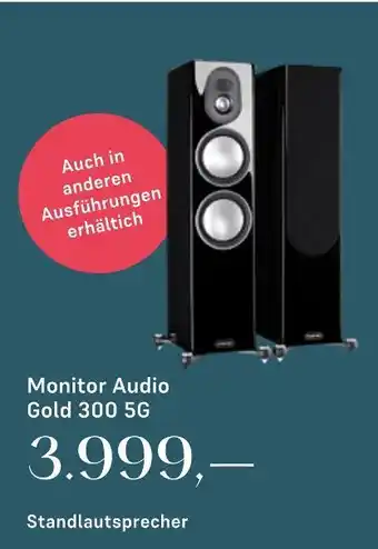 Euronics Monitor audio gold 300 5g Angebot
