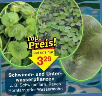 Jawoll Schwimm- und Unterwasserpflanzen Angebot