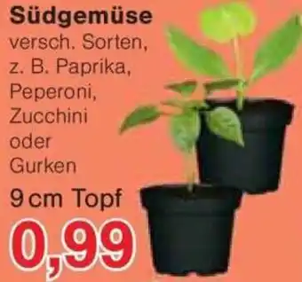 Jawoll Südgemüse Angebot