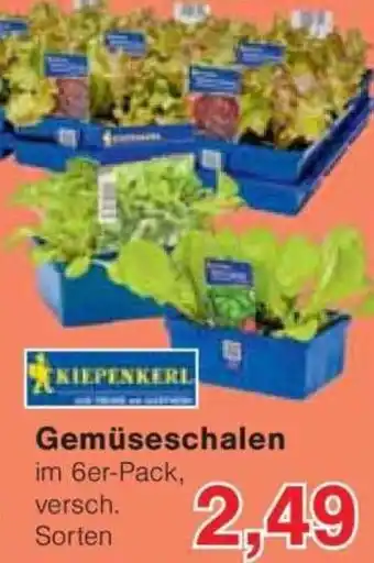 Jawoll Gemüseschalen Angebot