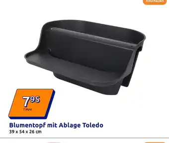 Action Blumentopf mit ablage toledo Angebot
