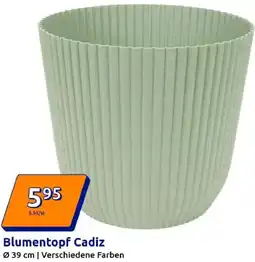 Action Blumentopf Cadiz Angebot