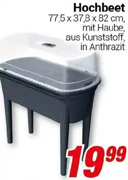 CENTERSHOP Hochbeet Angebot