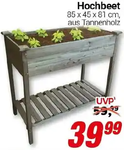 CENTERSHOP Hochbeet Angebot