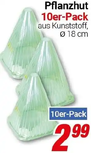 CENTERSHOP Pflanzhut Angebot