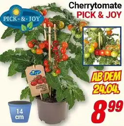 CENTERSHOP Cherrytomate PICK & JOY Angebot