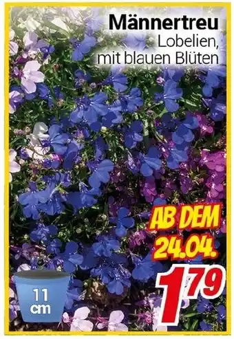 CENTERSHOP Männertreu Angebot