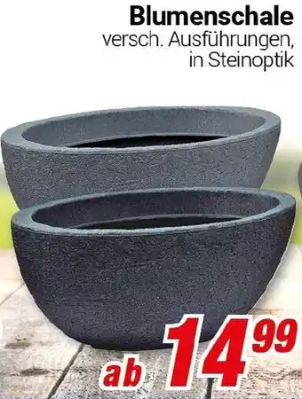 CENTERSHOP Blumenschale Angebot