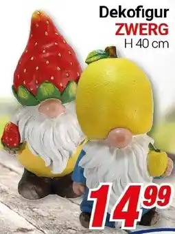 CENTERSHOP Dekofigur ZWERG Angebot