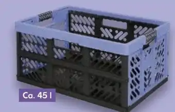 Kaufland Keeeper Profi-Klappbox Ben Angebot