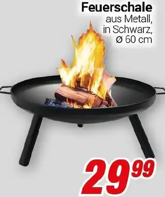 CENTERSHOP Feuerschale Angebot