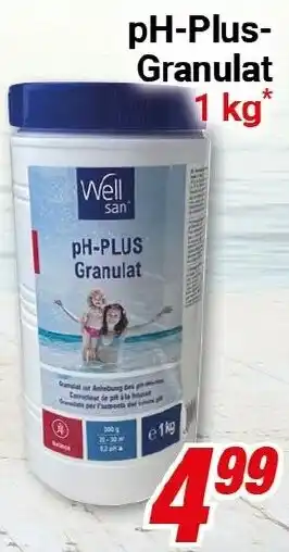 CENTERSHOP Well san pH-Plus Granulat Angebot