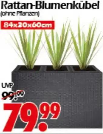 Wreesmann Rattan-Blumenkübel Angebot