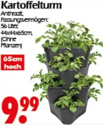 Wreesmann Kartoffelturm Angebot