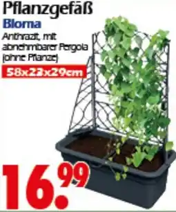 Wreesmann Pflanzgefäß Bloma Angebot