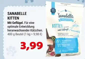 Zookauf Sanabelle kitten Angebot