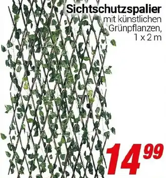 CENTERSHOP Sichtschutzspalier Angebot