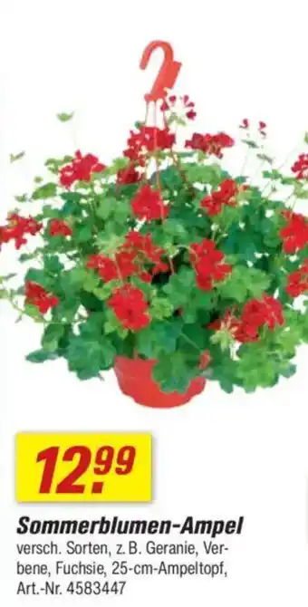 toom Baumarkt Sommerblumen-Ampel Angebot
