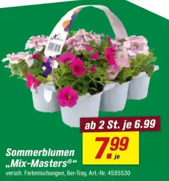 toom Baumarkt Sommerblumen ..Mix-Masters" Angebot
