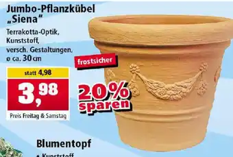 Thomas Philipps Jumbo Pflanzkübel ,,Siena" Angebot