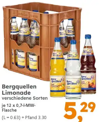 Globus Baumarkt Bergquellen Limonade Angebot