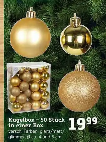 Pflanzen Kölle Kugelbox - 50 Stück In Einer Box Angebot