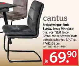 Zurbrüggen Cantus Freischwinger-Stuhl Scotty Angebot