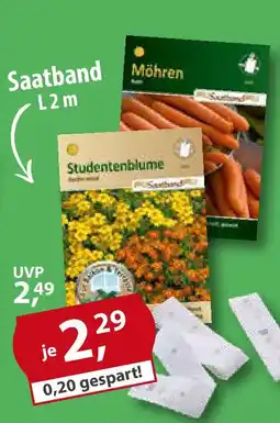 Sonderpreis Baumarkt Saatband Angebot