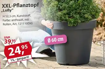 Sonderpreis Baumarkt XXL-Pflanztopf „Lofly" Angebot