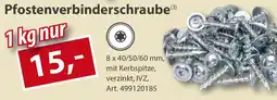 Sonderpreis Baumarkt Pfostenverbinderschraube Angebot