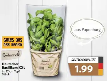 Combi Goldmarie Deutscher Basilikum XXL Angebot