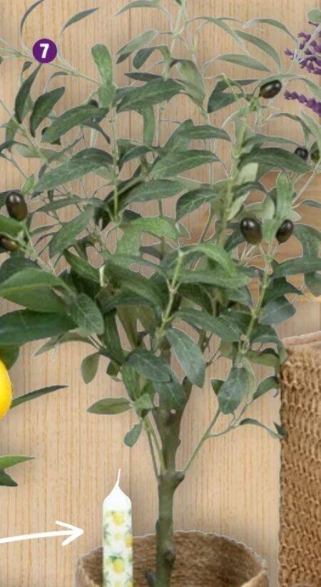 Kunstpflanze Olivenbaum Angebot bei Thomas Philipps