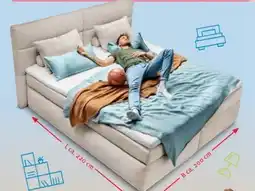 Trends Möbel Boxspringbettsystem Omaha Angebot