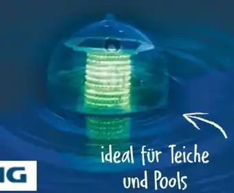 NETTO Grundig Solar-Globus Angebot