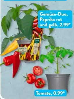 Aldi Süd Gardenline Gemüseharmonie Angebot
