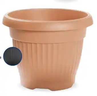 Aldi Süd Prosperplast Pflanzkübel Terra Angebot
