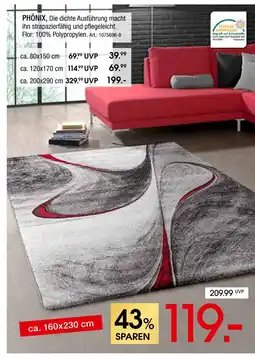 Zurbrüggen Phönix Angebot