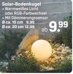 Rossmann Solar-bodenkugel Angebot