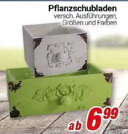 CENTERSHOP Pflanzschubladen Angebot