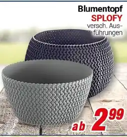 CENTERSHOP Blumentopf SPLOFY Angebot